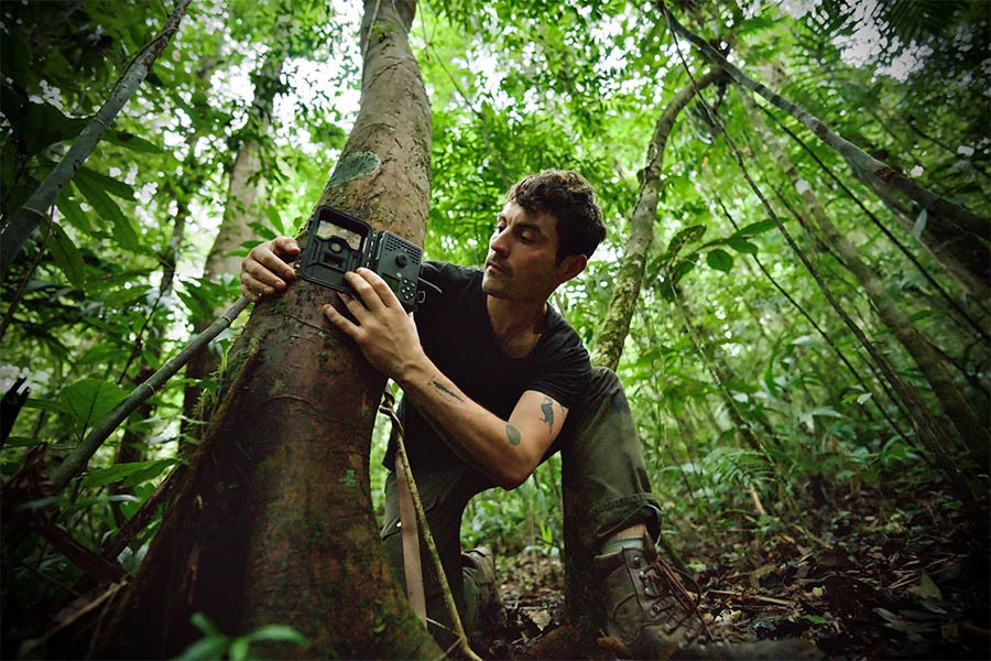 Off The Fence Boards Two ARTE Wildlife Specials From DocYard TV
